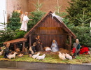 joseph1 20260101