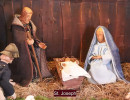 krippkes kieken im pastoralen raum