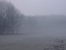 morgenspaziergang 1882 20260214